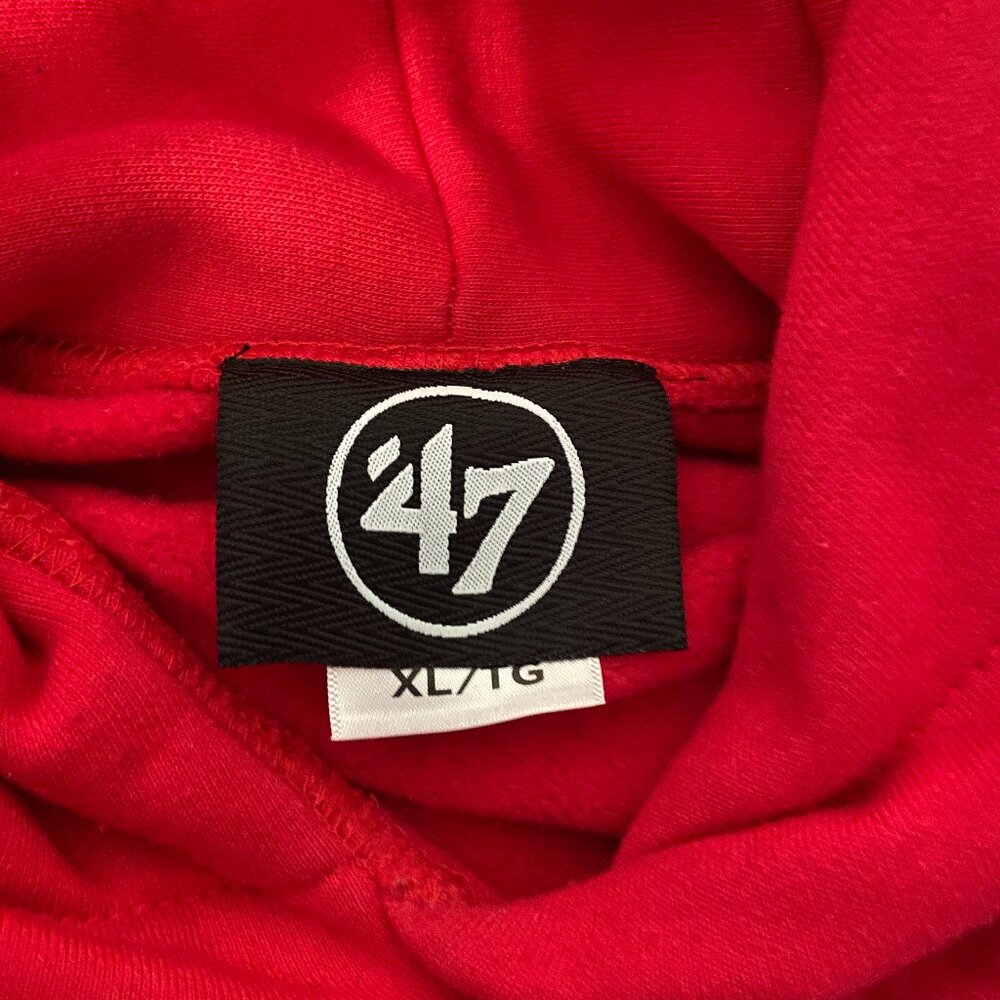 Toronto Raptors 47Brand Hoodie - Picture 3 of 3